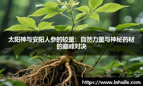 K1体育在线登录