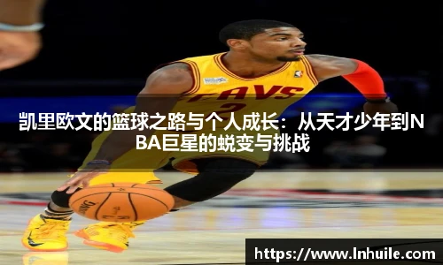 K1体育在线登录